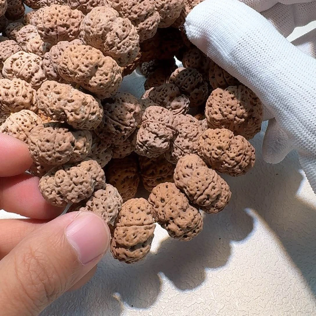 金刚菩提手串五星