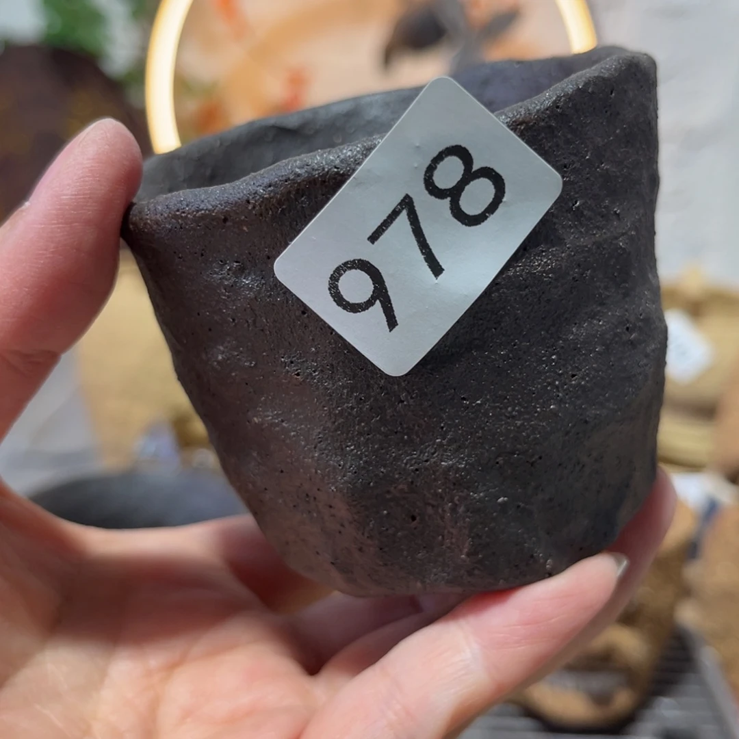 木村信弘柴烧保平