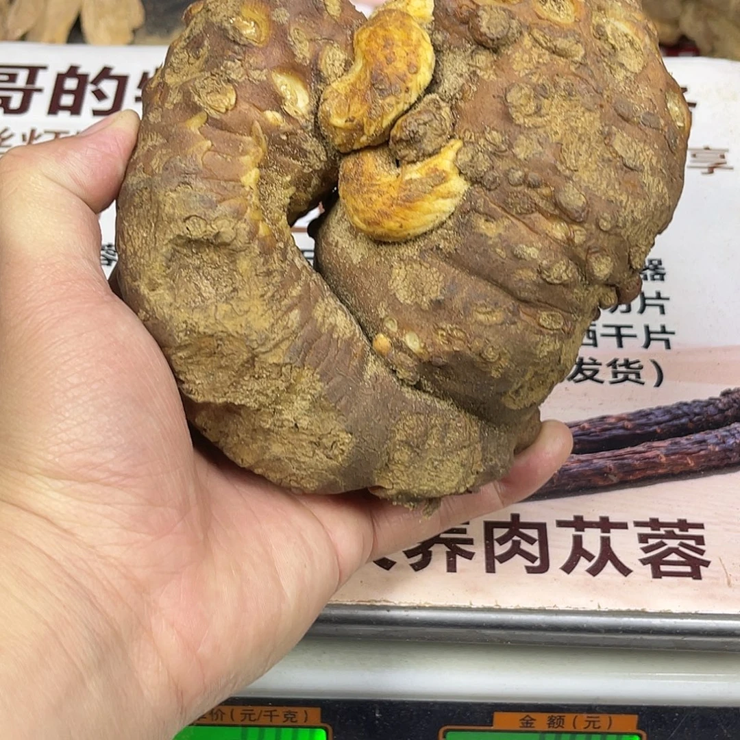 中国大陆765克老根