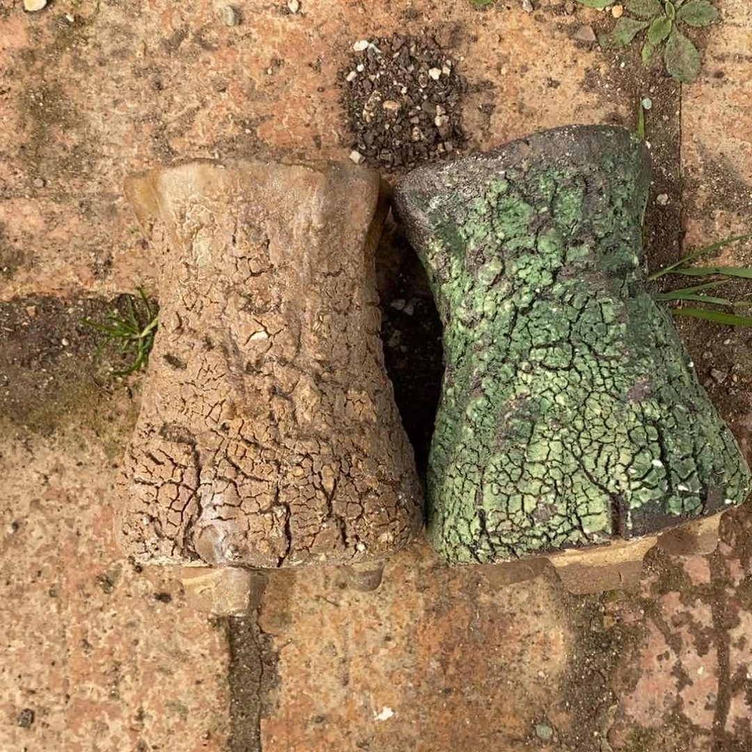 55号多肉盆两个组合