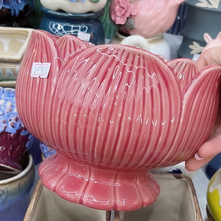 多肉植物陶瓷花盆