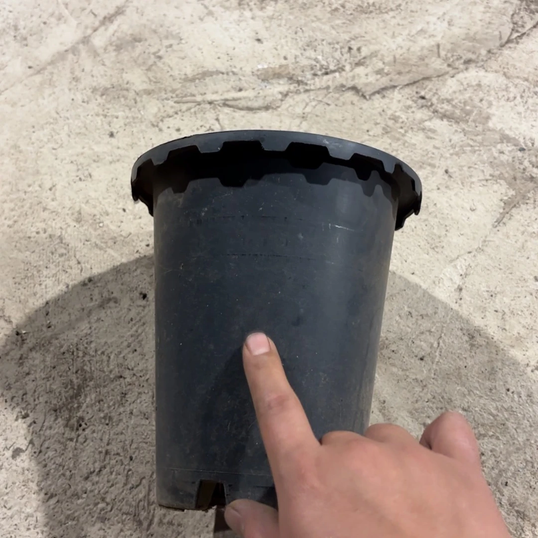 兰花盆175口径发11个