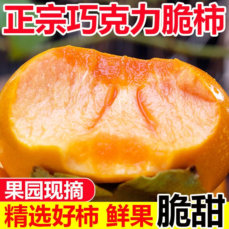 2025年正宗山西阳丰巧克力脆柿新鲜采摘香甜多汁果园直发彩箱发货