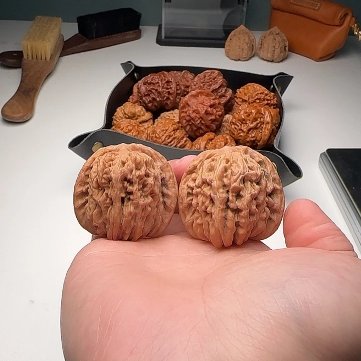 41-39-36一代铁楼B37号