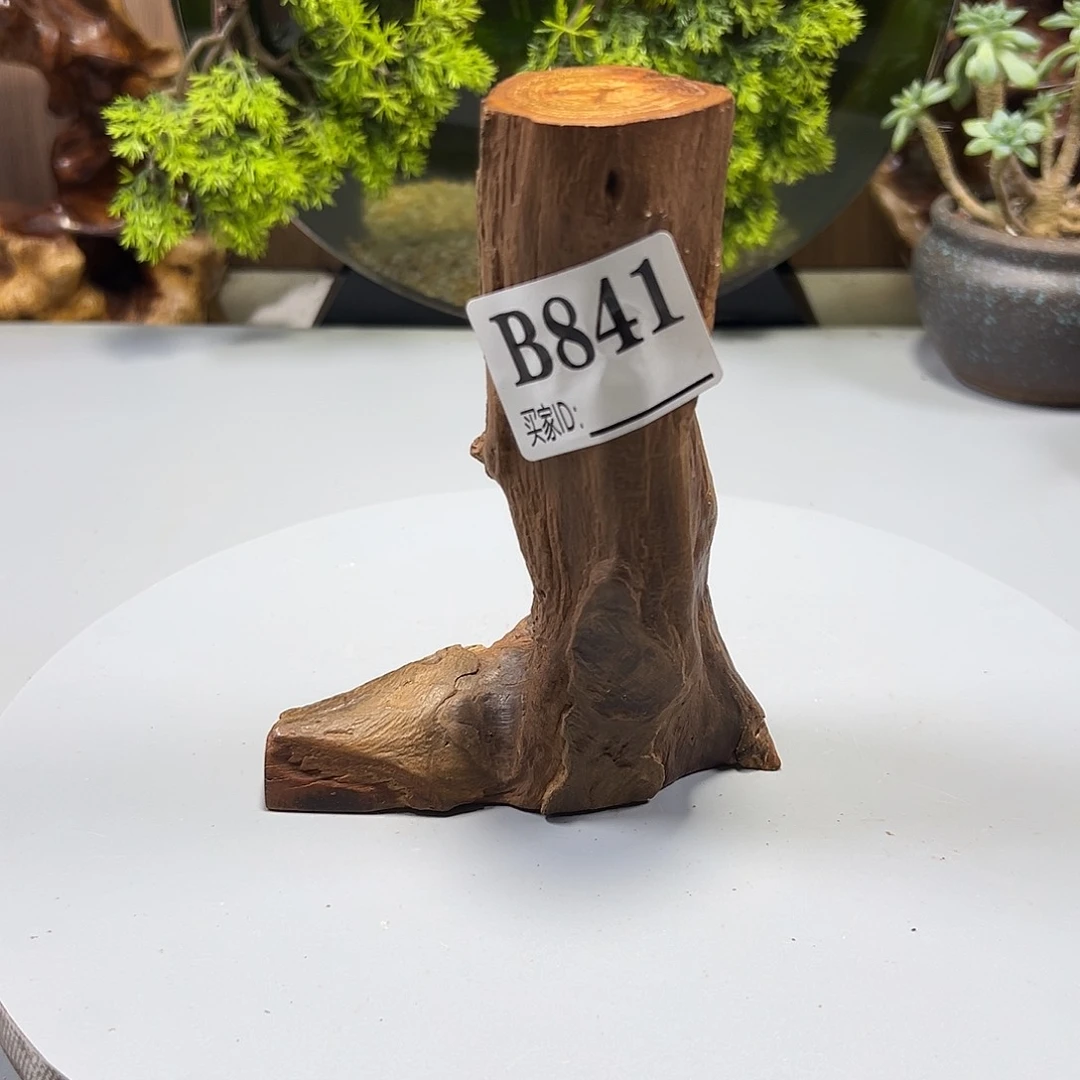 大果紫檀（缅甸花梨）用****8