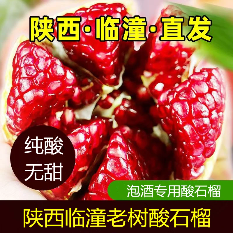 陕西临潼酸石榴纯酸无甜泡酒专用石榴应季孕妇新鲜水果坏果包赔