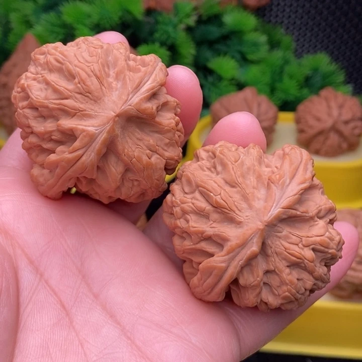 红锦鲤46全品11111111