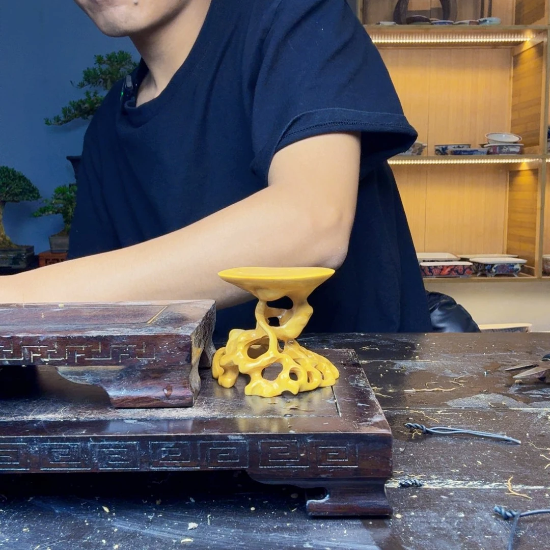 不***豆无花朵黄杨盆景一物一拍