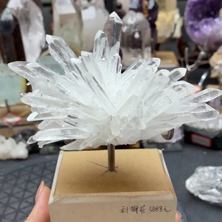未镶嵌水晶摆件小杜