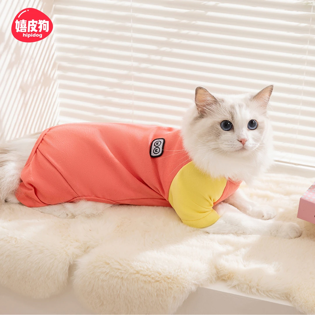 嬉皮狗—宠物猫咪衣服简约撞色拼接布偶小猫咪秋冬保暖打底衫6202