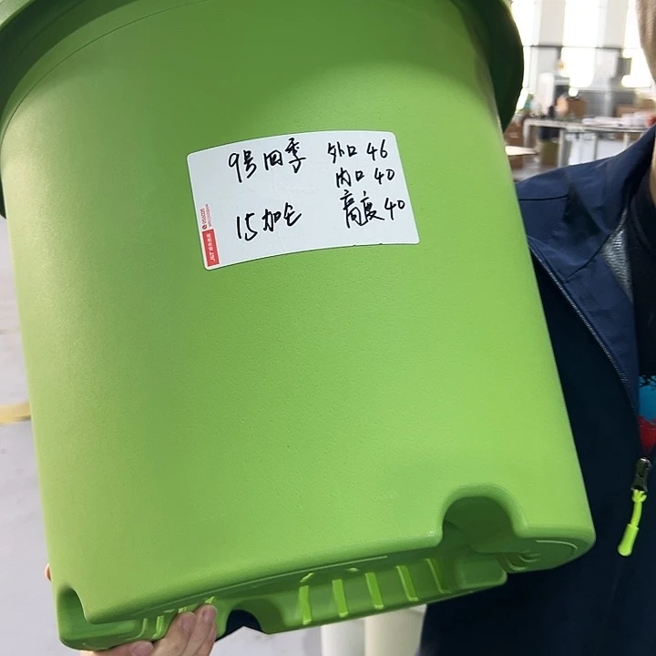 特价9号四季口46高40果绿无托2只