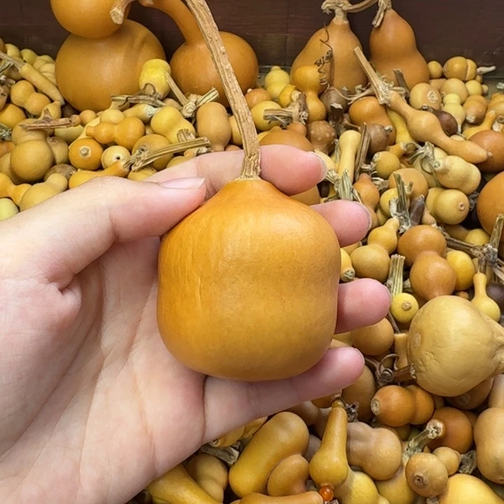 葫芦葫芦葫芦葫芦