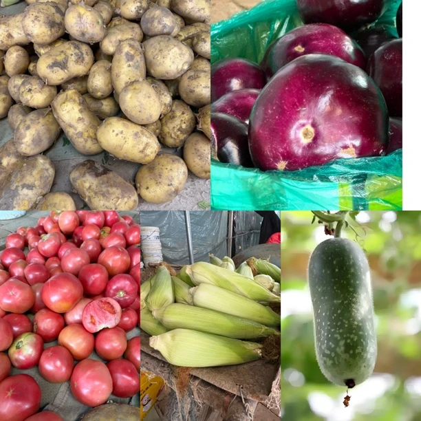 天津本地蔬菜混拼福利