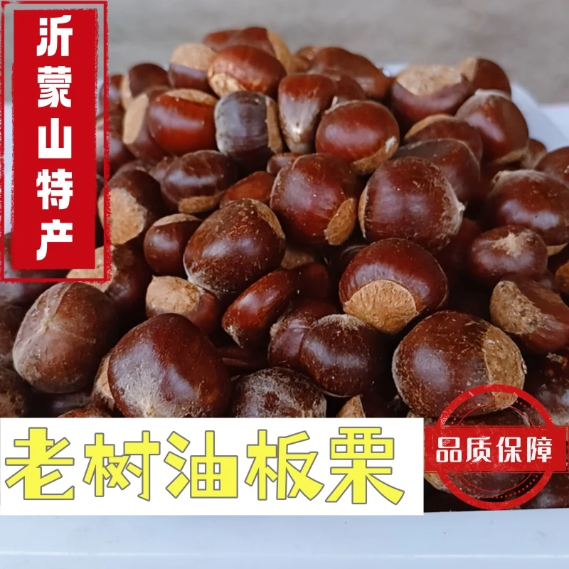生板栗25年沂蒙山板栗生新鲜农家现摘生栗子粉糯老树黄心油栗包邮
