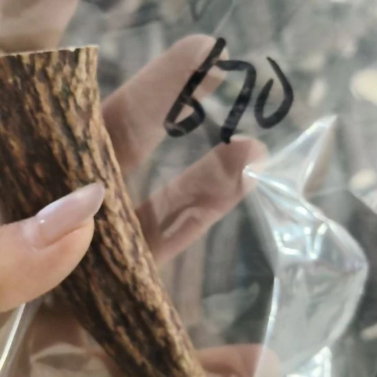 年***糕非金属无鹿角鹿角鹿角鹿角鹿角鹿角