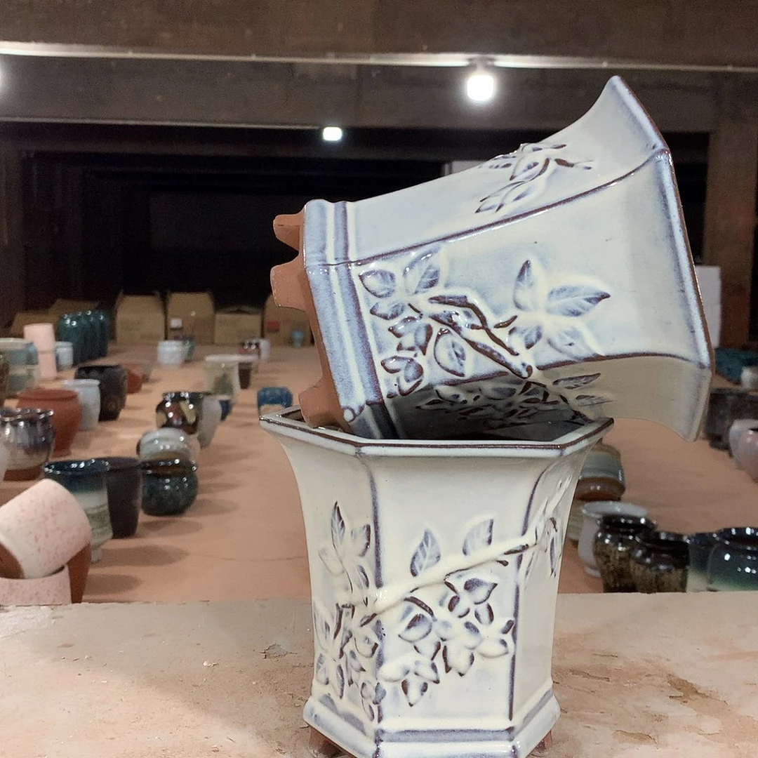 花盆啦啦啦啦啦啦啦啦