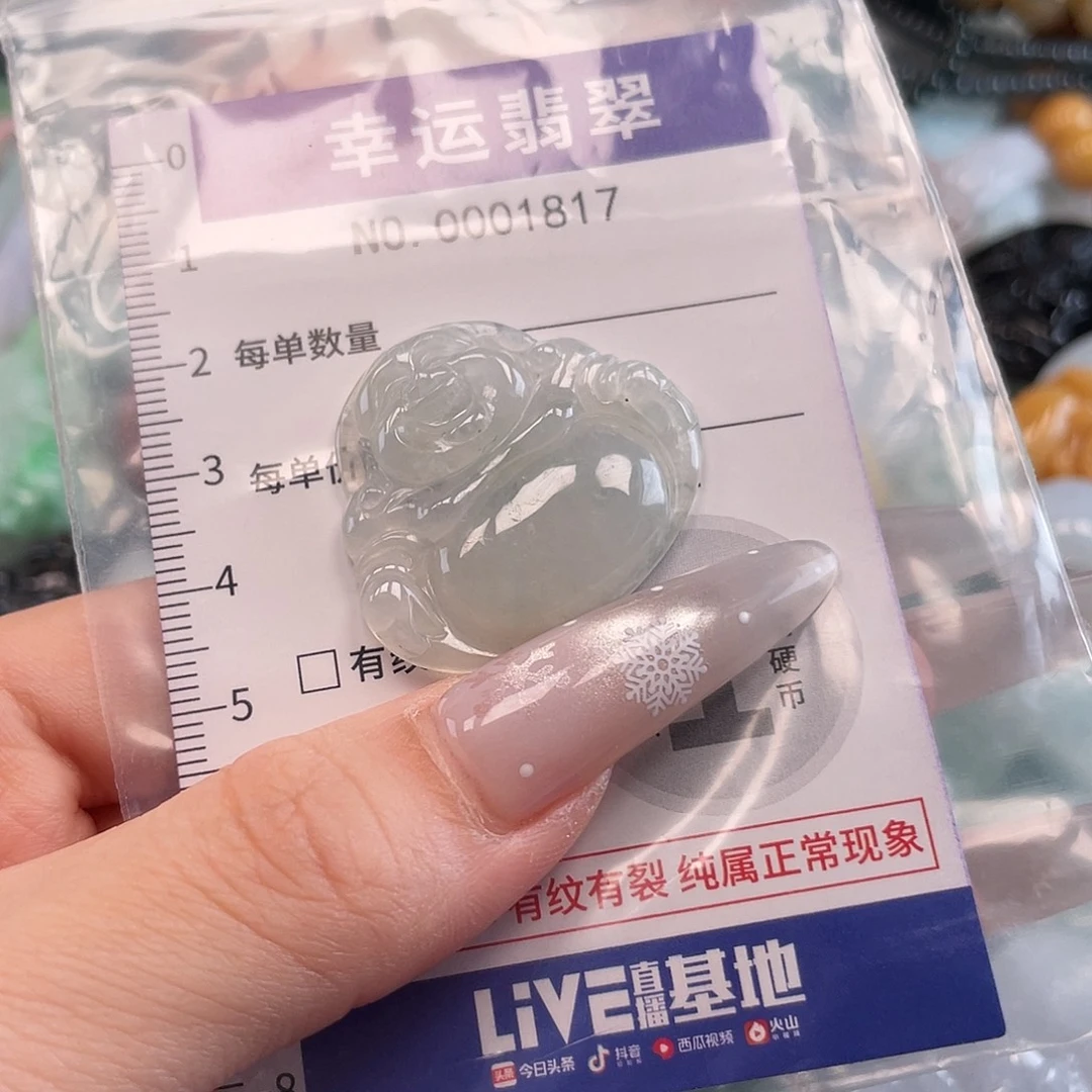 翡翠未镶嵌颈饰hhh