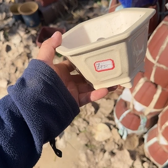 在干嘛的我还以为自己没看完这篇论文我看