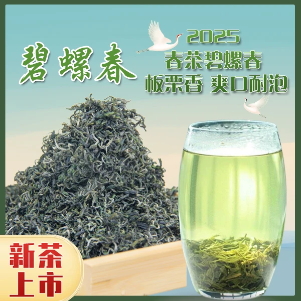 【碧螺春】2025春茶碧螺春 板栗香 味浓 清新醇厚