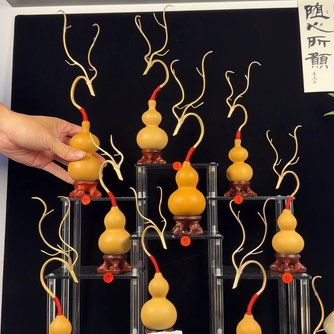 文玩葫芦文玩葫芦