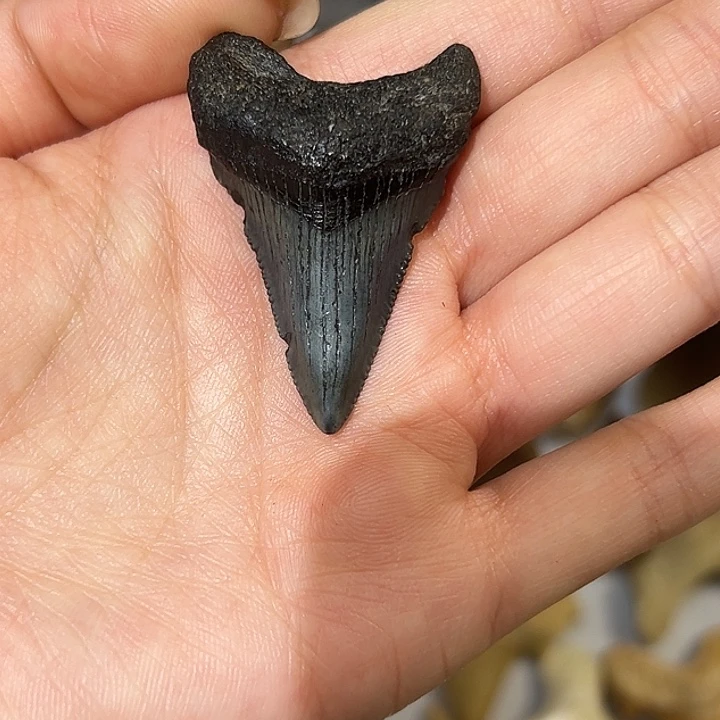 *****精品系列产品摆件12457