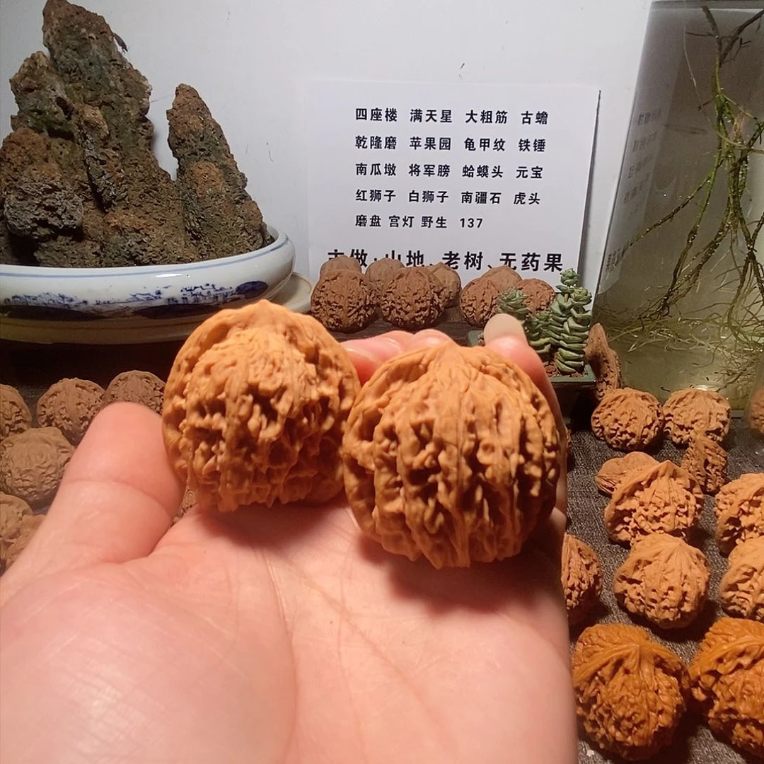 把件文玩核桃完**合红狮子文玩核桃