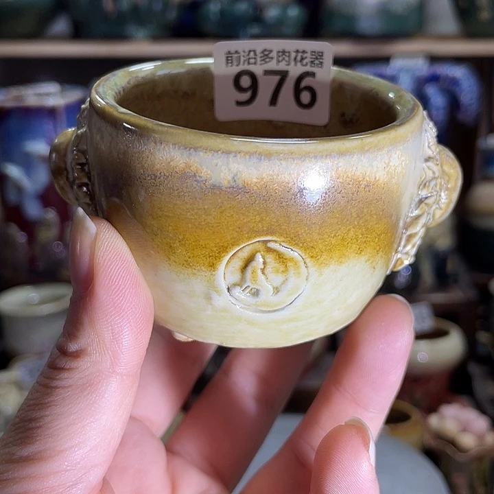 狼盆内口径6高度5