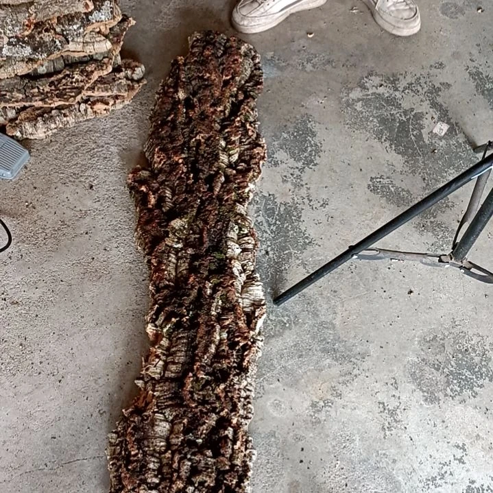 木一物一拍一物一发