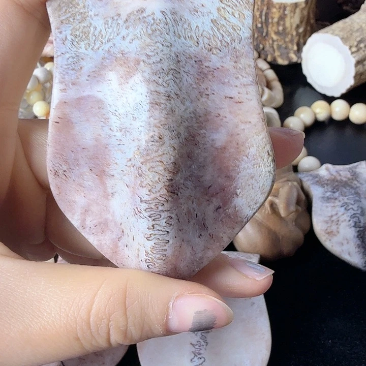 娇*养殖鹿三届牌一块