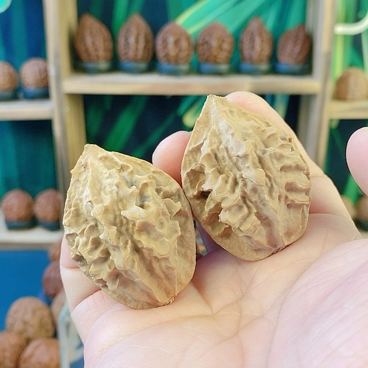 文玩核桃吊坠035断齿龙骨