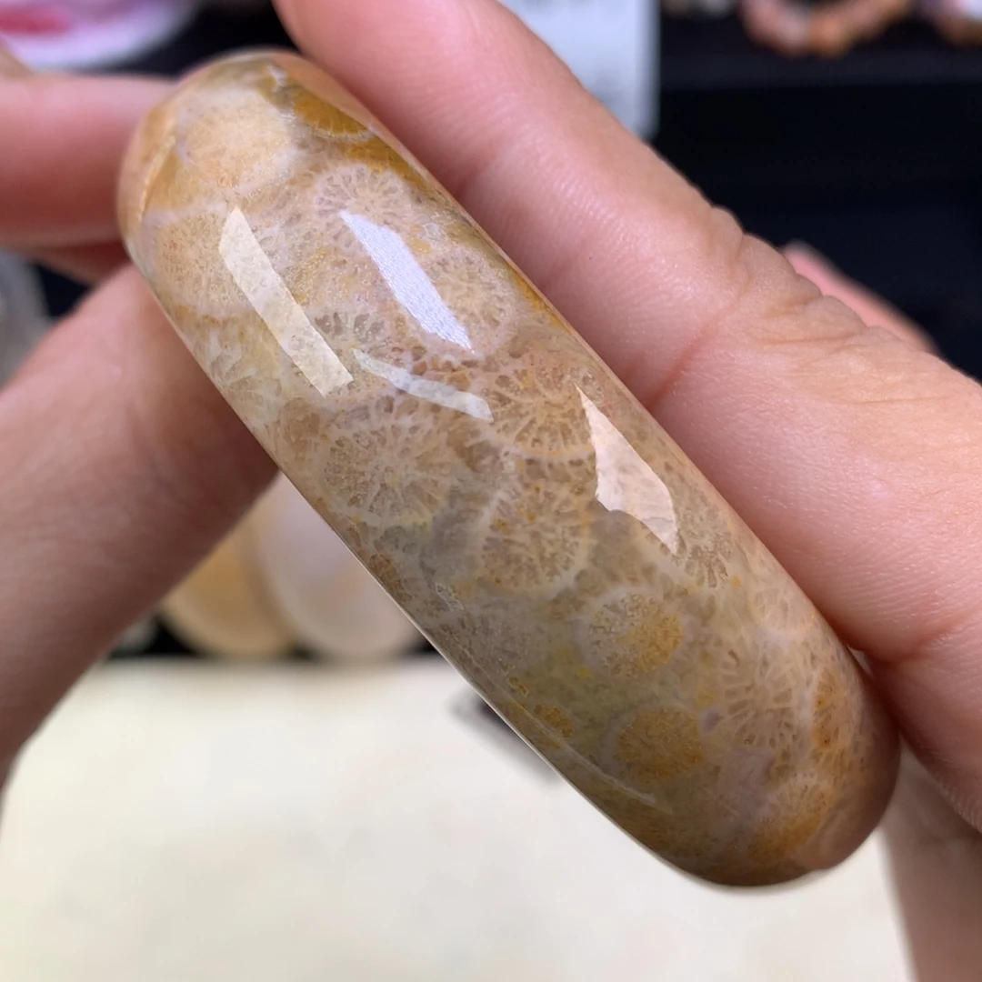 硅化珊瑚（珊瑚玉）未镶嵌吊坠(赠链)（24号）五折手镯56圈