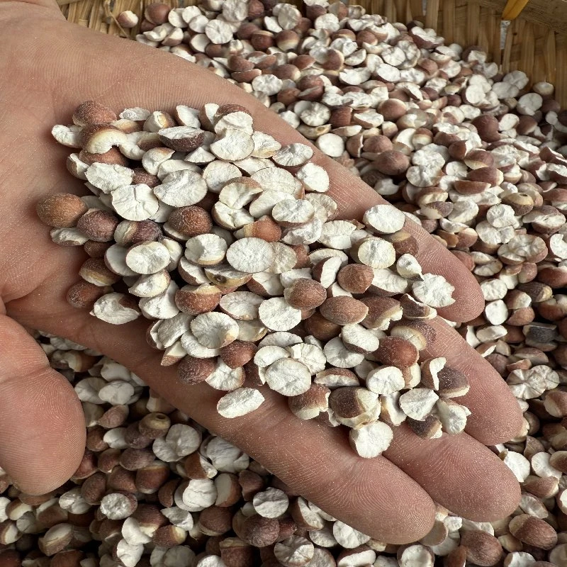 肇庆新鲜半开芡实鸡头米干货煮粥精选食材