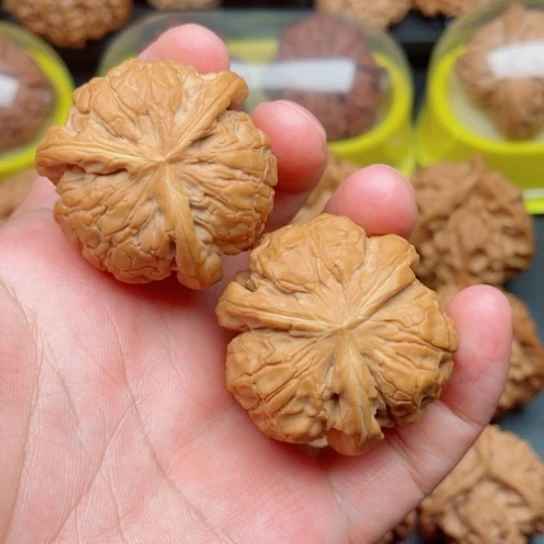 文玩核桃把件甲骨文狮子头三棱奔41×40×40