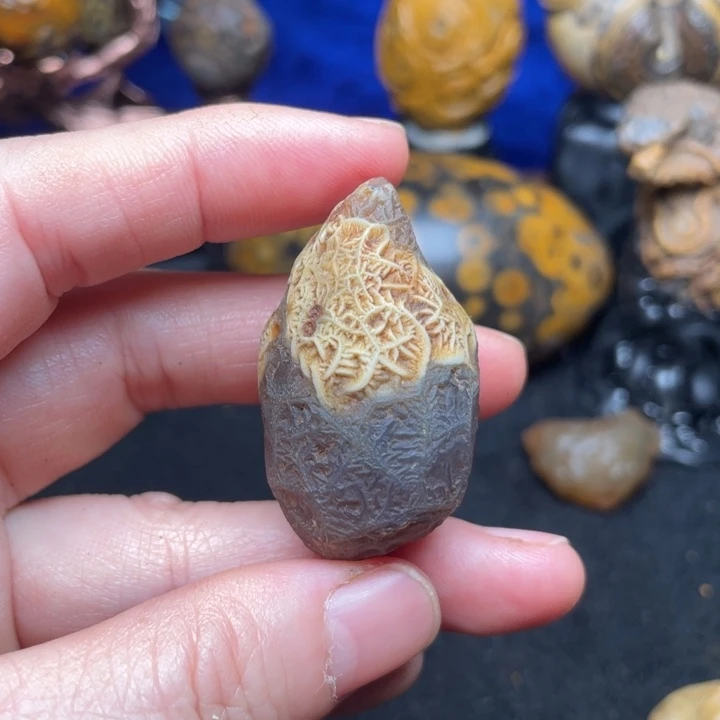 石材纯天然奇石原石138