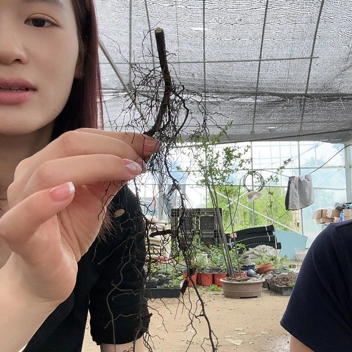 瓶****2哈哈哈哈哈桥本