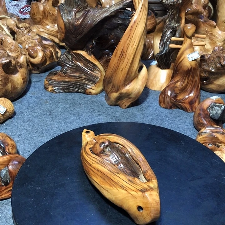 日***心柏木（崖柏）崖柏12