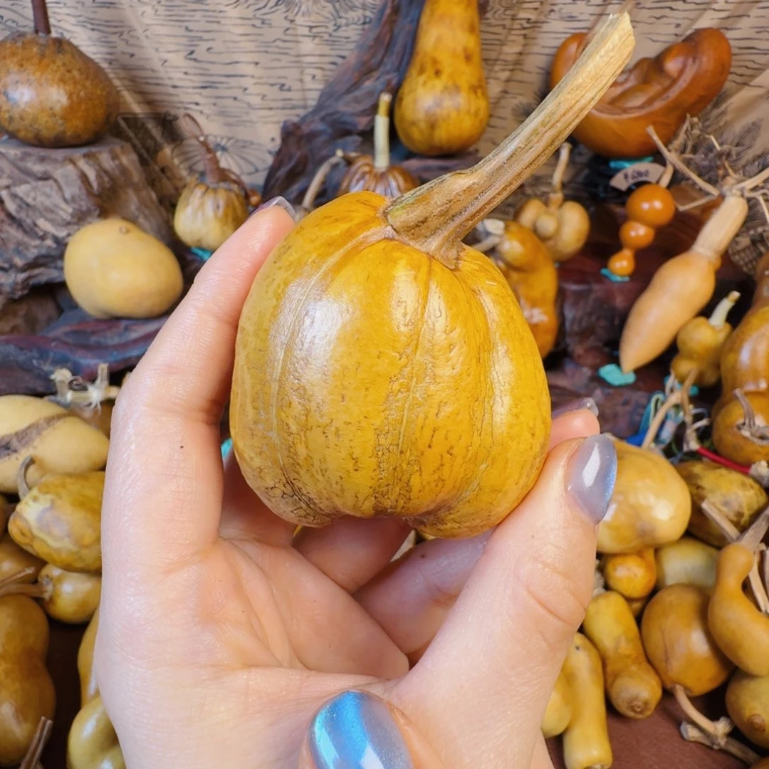 贝***利从此谢谢谢谢谢谢谢谢吃吃吃吃吃吃吃