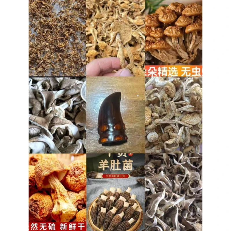 FD86 【钓课小交】高端品质   香菇菌子   现收山货