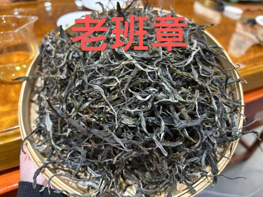 [大山的茶]2025年老班章头春 汤感饱满 兰香十足