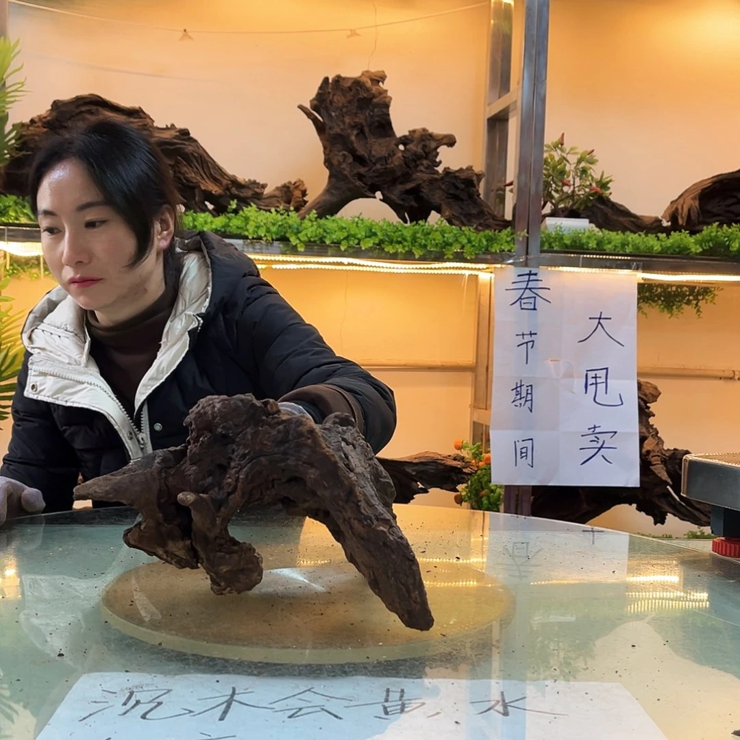 柚木沉木鱼缸造景