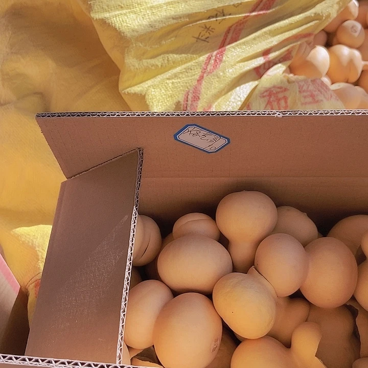 烙艺阁宝子恭喜发财