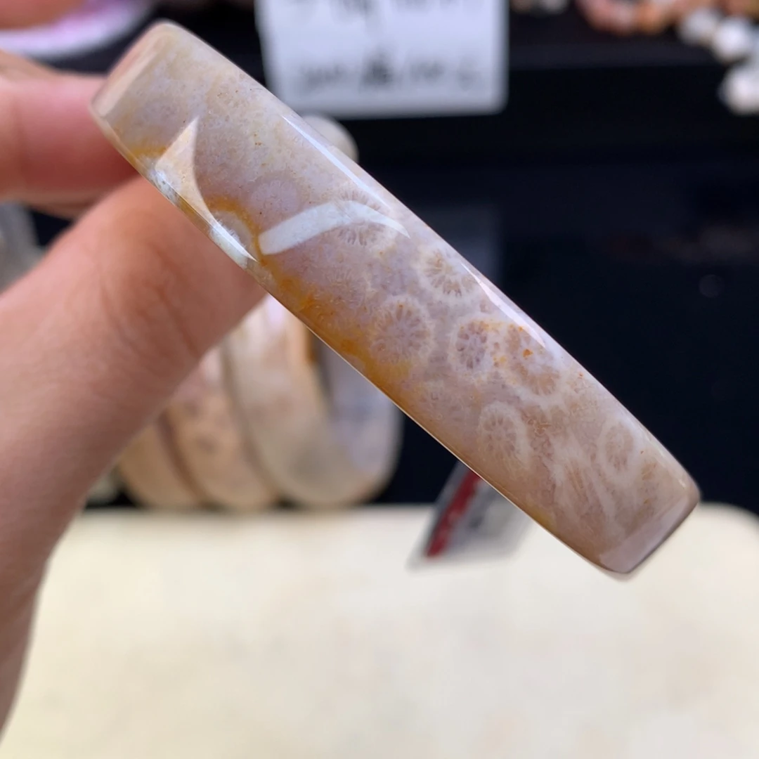 硅化珊瑚（珊瑚玉）未镶嵌吊坠(赠链)（18号）五折手镯54.5圈