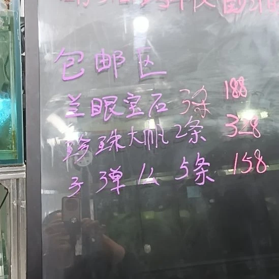 海水鱼耳班吊海水观赏鱼