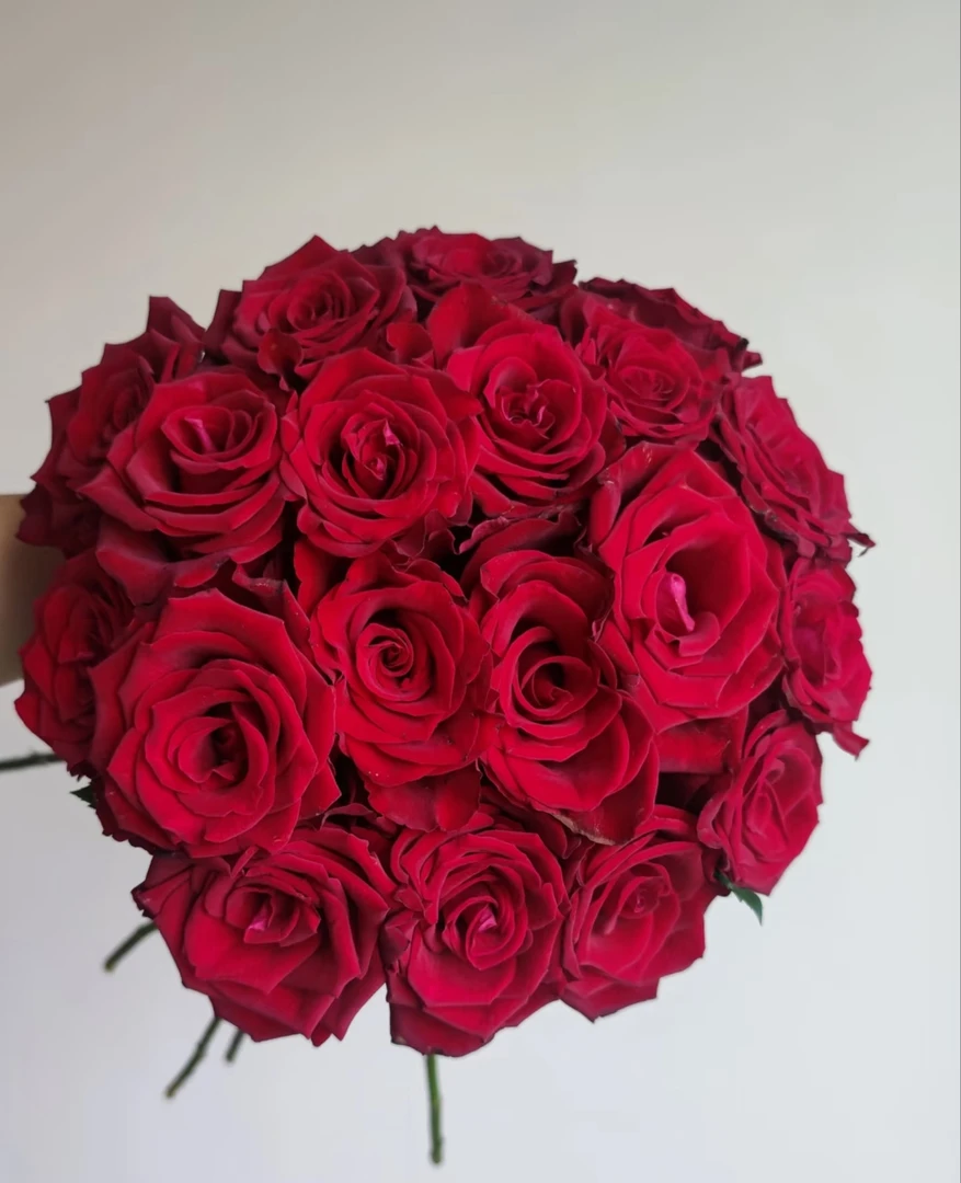 挚爱--单头玫瑰  丝绒质感  花型精致 华丽高级