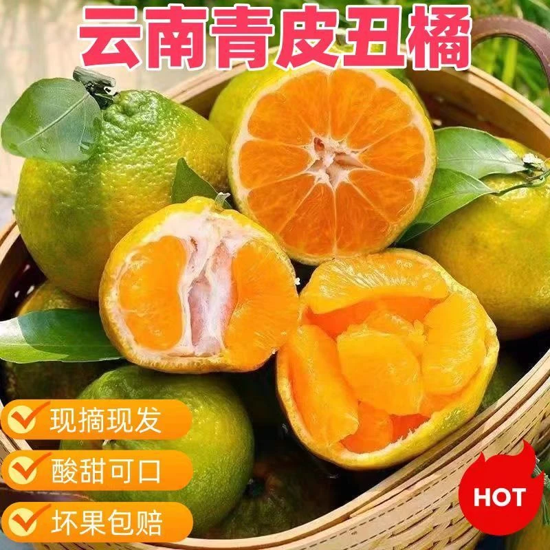 云南哀牢山青皮丑橘新鲜应季水果现摘现发爆甜多汁