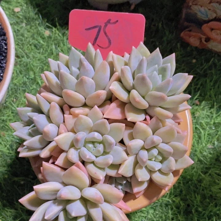 你就不要在联系我们