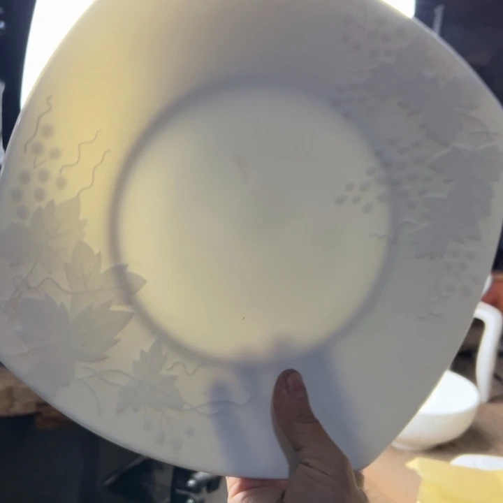 库存尾货葡萄大盘口径27一对