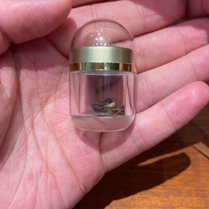 吊坠沉香j****a海南糖结沉水树心虫漏黑棋楠0.2g