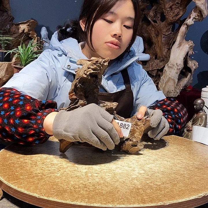 M****i882株木随行的小根艺