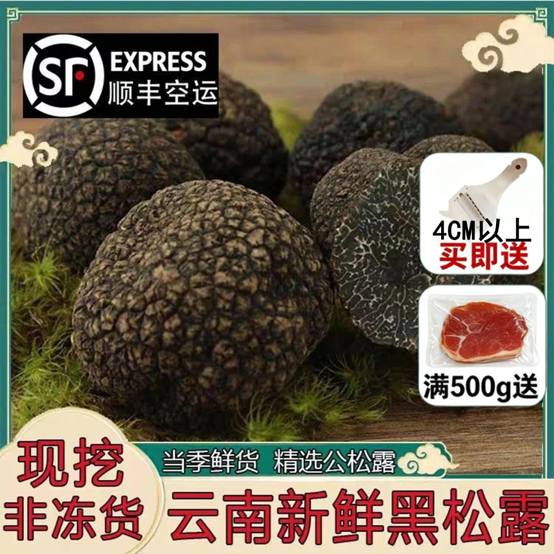 【2025季】云南特产新鲜黑松露菌菇煲汤养生食材顺丰空运